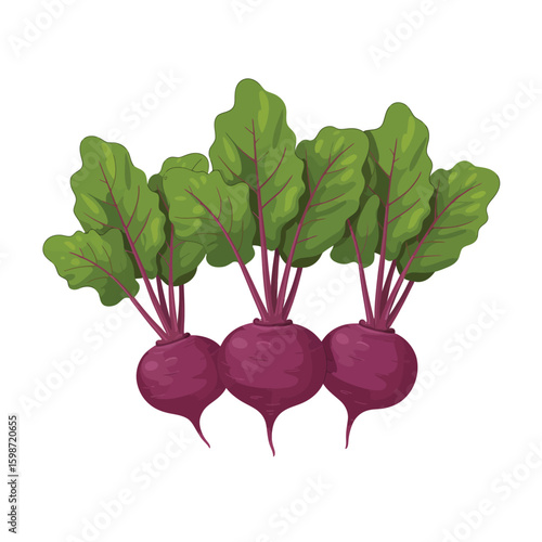 Freshly harvested beets with vibrant green leaves isolated on white background