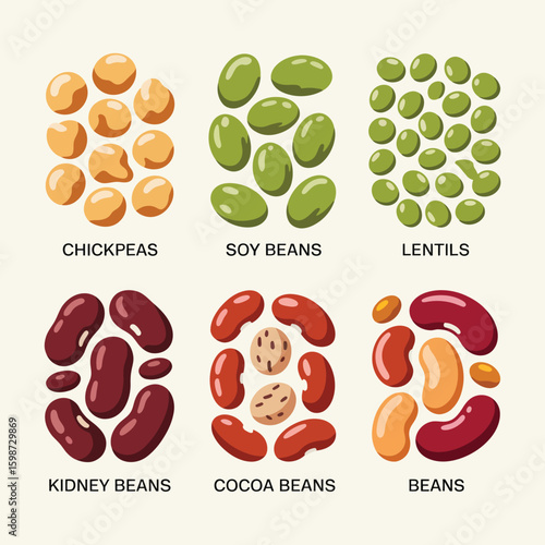 Collection of six different types of beans and legumes