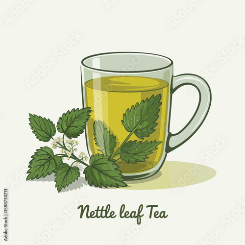Refreshing nettle leaf tea in a glass mug with fresh leaves