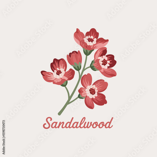 Delicate watercolor painting of red sandalwood blossoms on a light background