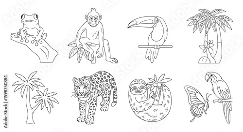 Outlined tropical wildlife featuring a frog, monkey, toucan, jaguar, sloth, and parrot, trees and butterfly