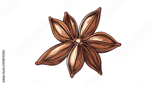 Engraved Star Anise Thighs Color Illustration