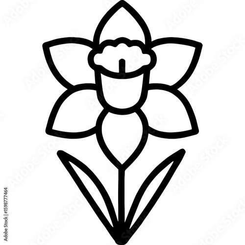 Daffodil flower outline icon vector