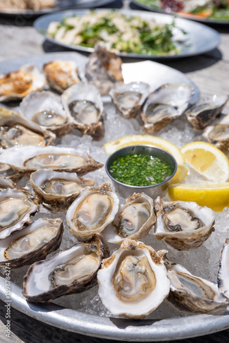 Overhead view of a dozen raw oysters presented neatly on ice with lemon wedges and a dipping sauce