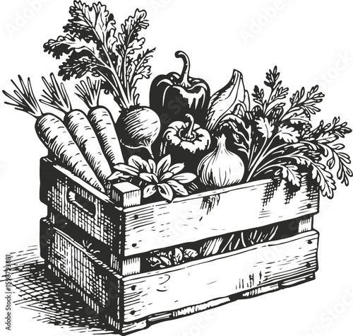 Crate of Fresh Vegetables 