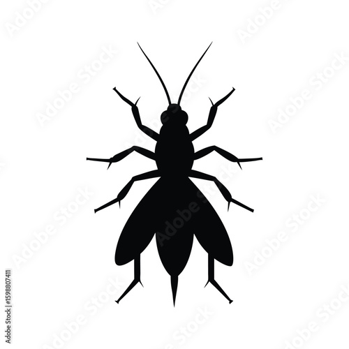 Insect silhouette vector illustration of a stonefly.