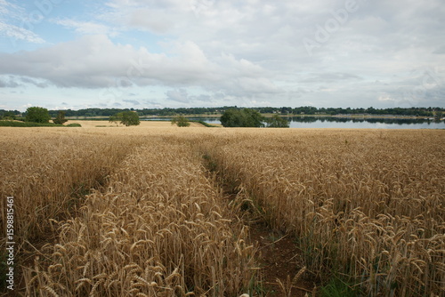 Rutland Water Reservoir in Rutland, England, UK
