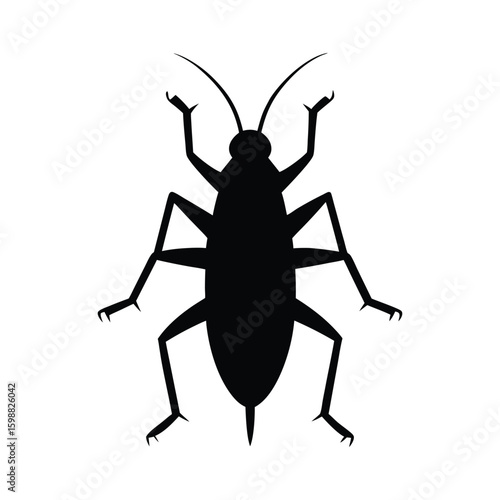 Katydid insect silhouette with extended legs vector illustration.