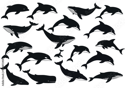 Collection of Various Cetacean Silhouettes Including Whales and Dolphins in Dynamic Poses