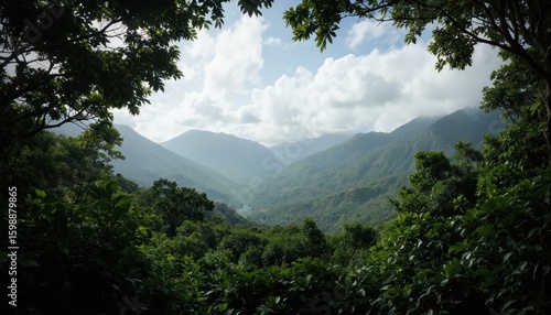 Wallpaper Mural Rich Caribbean valley with verdant jungle foliage, mist-shrouded mountains under cloudy skies. Nature scene offers serene island vista, perfect for travel or eco-tourism themes. Torontodigital.ca