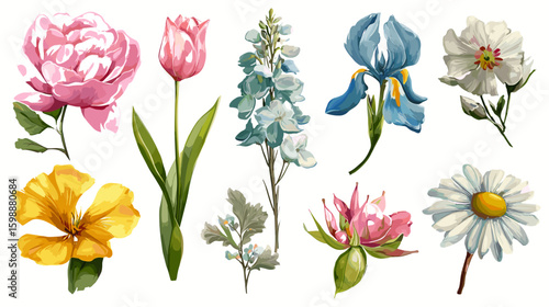 Collection of watercolor style floral illustrations including peony tulip iris and daisy flowers artfully arranged on transparent background