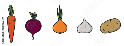 Root vegetables illustrations. Planting, natural food and harvest symbols. Natural organic foods. Isolated vector images