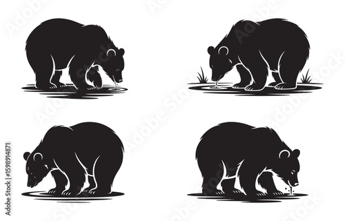 Vector illustrations of black bears drinking water from a puddle on a white background