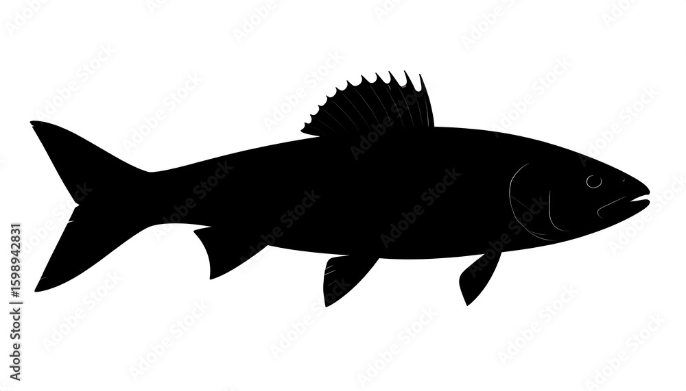Fototapeta premium Silhouette of a fish (1)