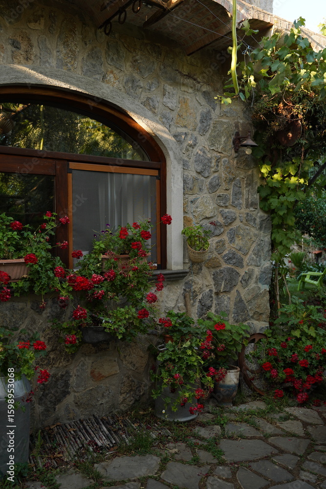 Fototapeta premium old house with flowers