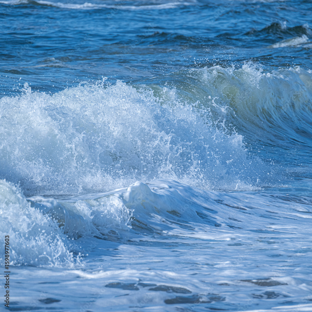 Obraz premium 初夏の松島