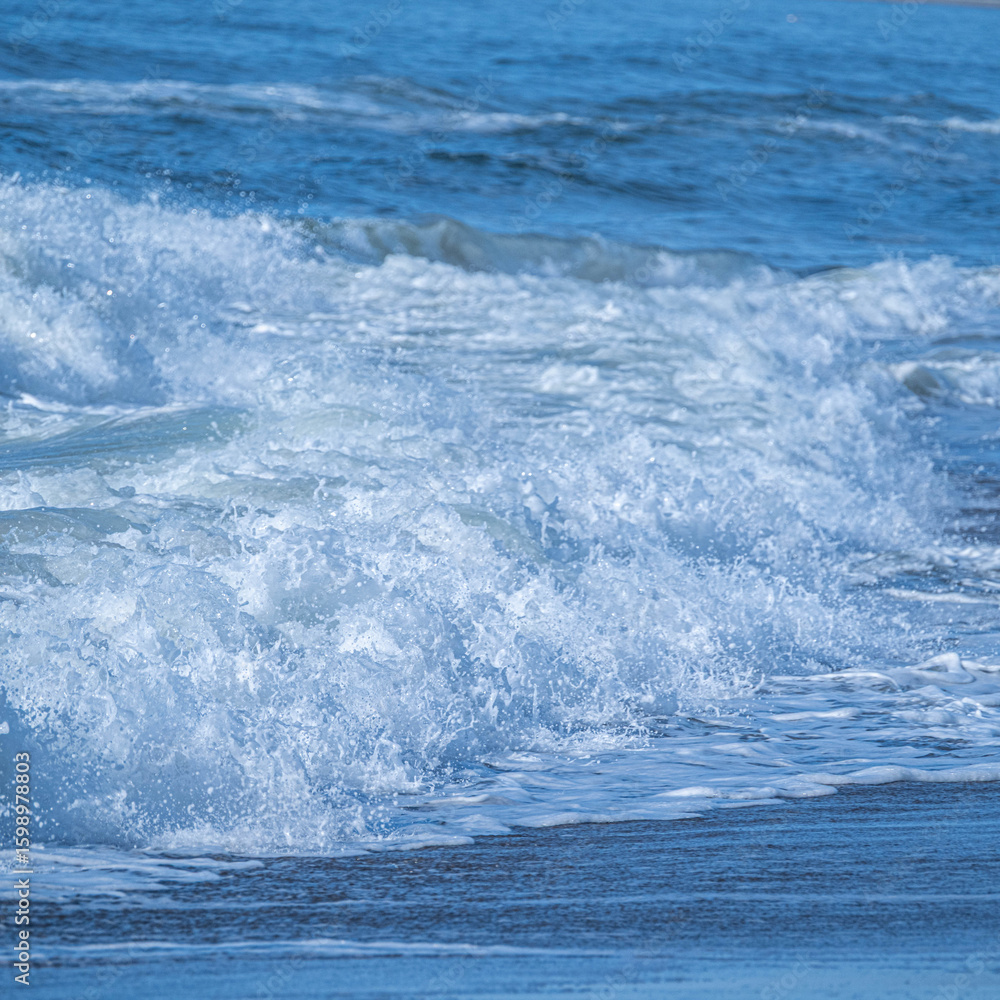 Fototapeta premium 初夏の松島