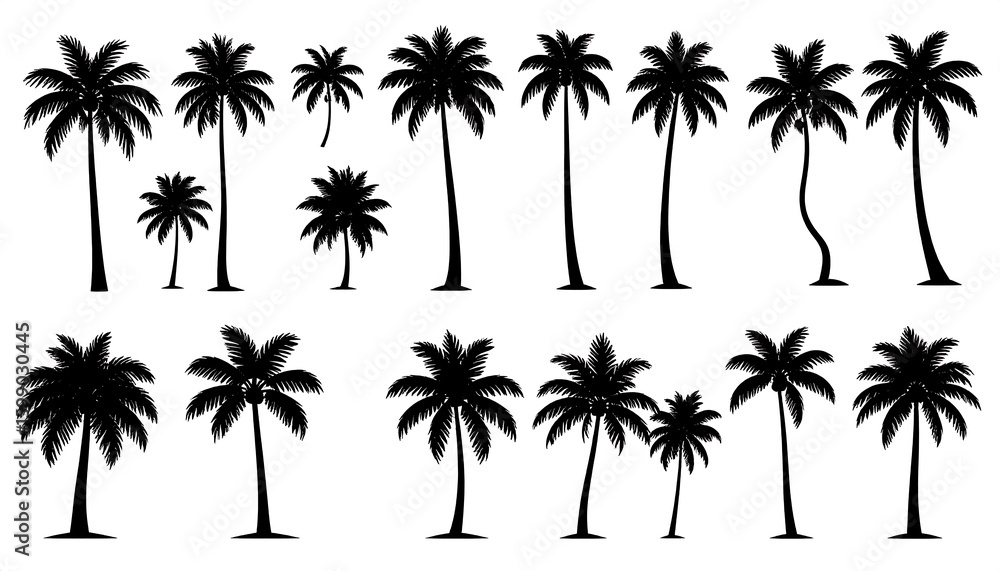 Fototapeta premium Silhouettes of various palm trees