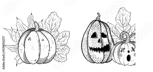 A Beautiful HandDrawn Illustration of a Pumpkin Surrounded by Lush Leaves and Details