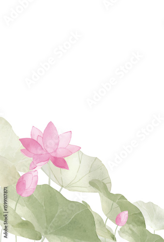 水彩で描いた蓮のはがきテンプレート