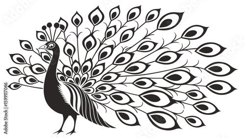 Stylized black and white peacock with elaborate tail feathers displayed in a symmetrical design