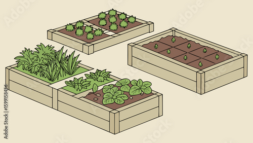 Raised garden beds filled with various vegetables and plants