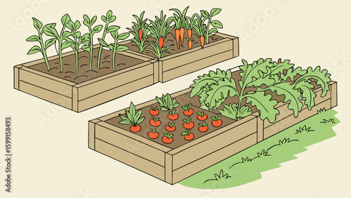 Raised garden beds filled with fresh vegetables and plants