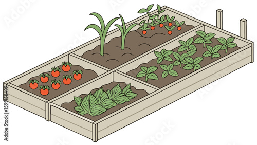 Raised garden bed with four sections of vegetables