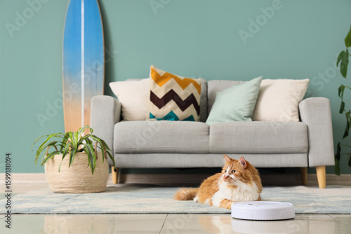 Cute fluffy cat with robot ...