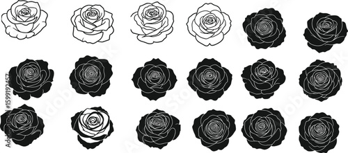 Rose flower silhouette and outline vector collection, black and white hand-drawn floral set for cad drawing, botanical illustration, design use