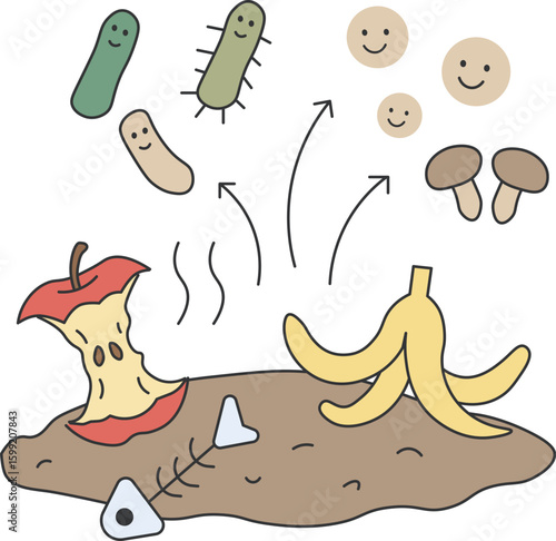 Compost Microorganisms Decompose Organic Waste
A friendly and educational illustration showing microorganisms and fungi breaking down organic waste like banana peels and apple cores in a comp