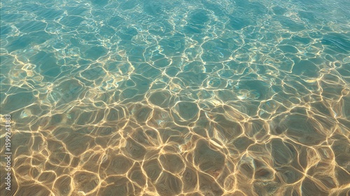 Clear water ripples over a sandy bottom, creating intricate light patterns and reflections in a shallow natural aquatic setting.