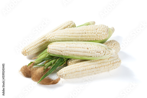 sweet white corn cobs isolated on white background.