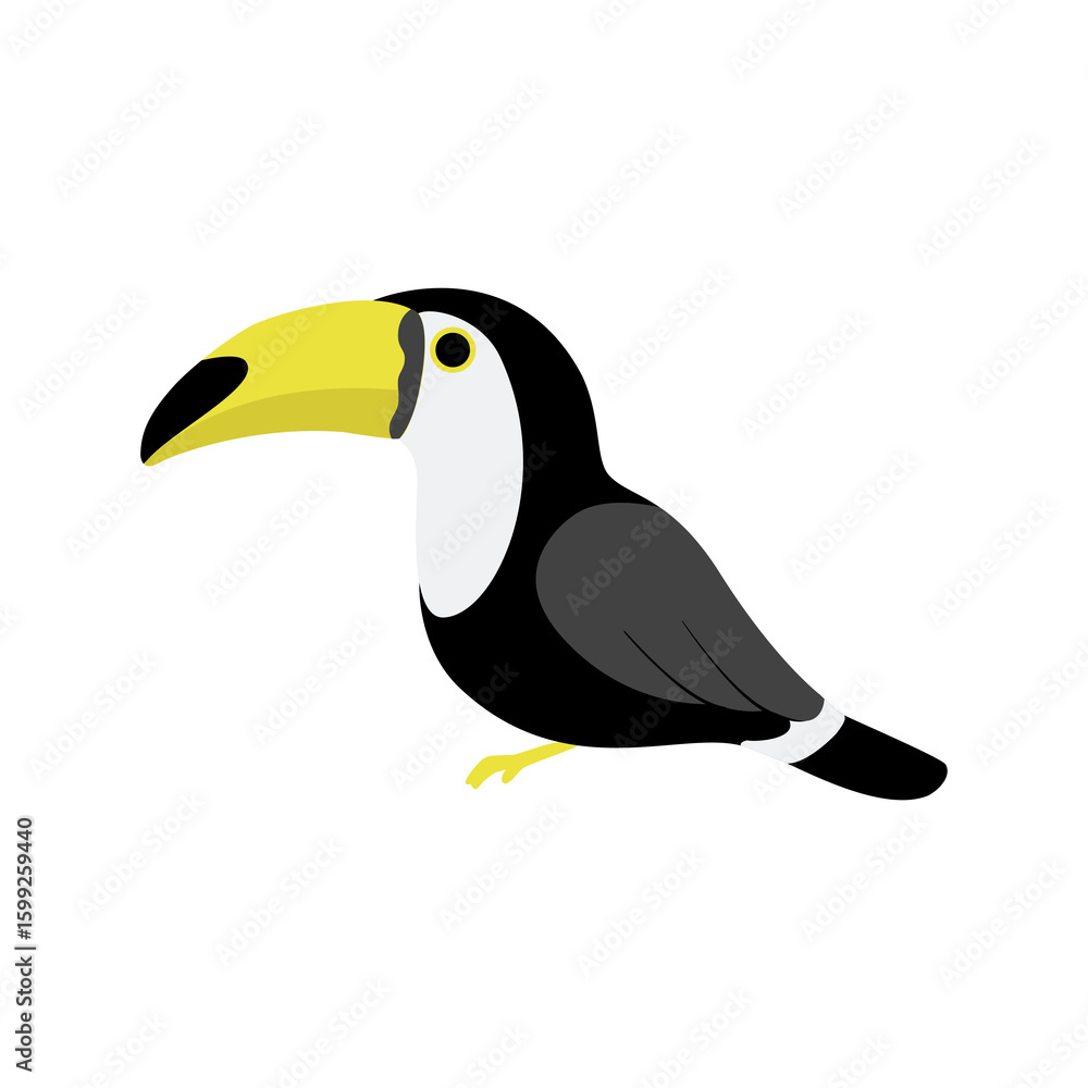 Fototapeta premium Toucan – Tropical Bird Illustration (Transparent PNG Clipart)