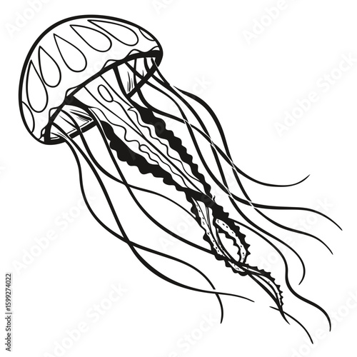 A graceful jellyfish is swimming in the deep ocean with its long flowing