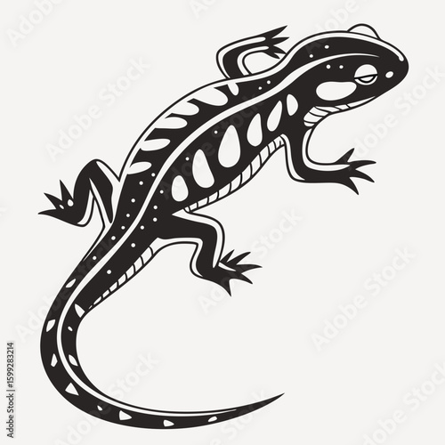 A detailed black and white drawing of a spotted salamander with a sleek body and a