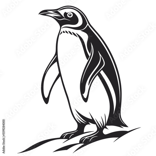 A black and white penguin stands tall on a snowy surface looking towards the