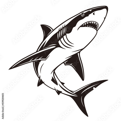 A powerful shark with open jaws is swimming in the ocean showcasing its predatory