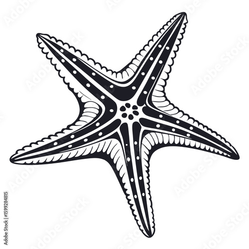 A detailed black and white illustration of a starfish with intricate patterns and