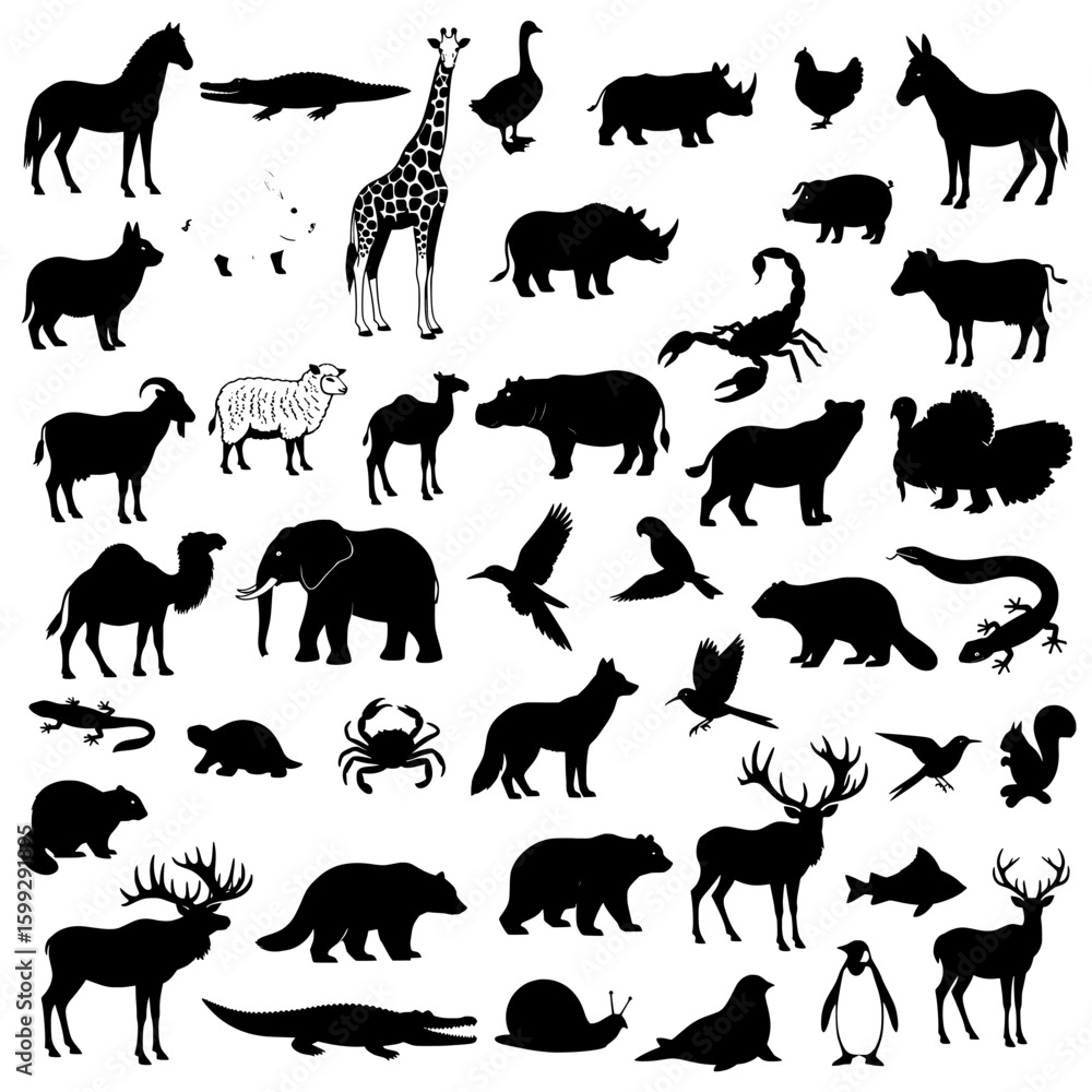 Fototapeta premium set of animals vector silhouettes icon, a collection of diverse animal silhouettes against a white background space 