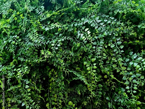 Artificial green vines decorating a wall
