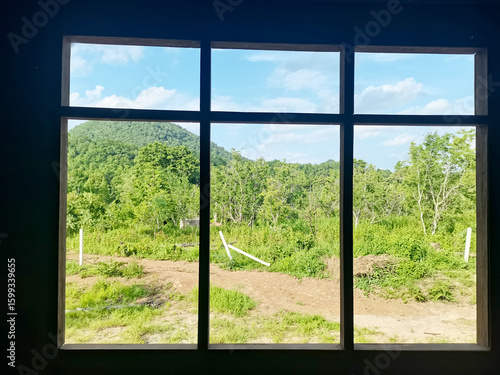 window with green grass