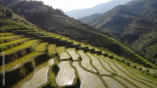 rice terraces in bali indonesia