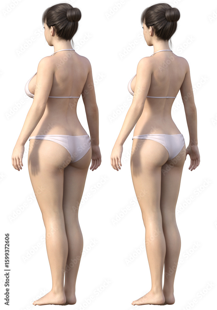Fototapeta premium ダイエット ビフォーアフター 太った女性と痩せた女性の全身斜め後ろ姿の比較 3Dイラスト