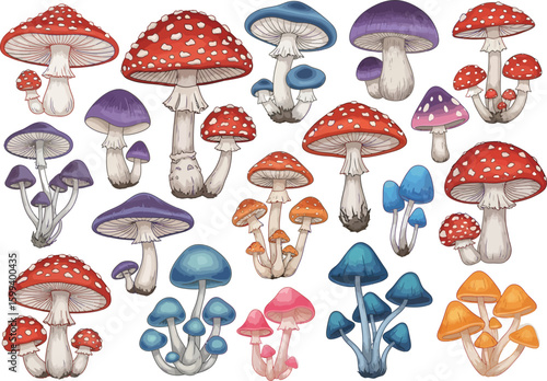 A whimsical collection of colorful illustrated mushrooms in various sizes and vibrant hues creating a magical forest floor scene