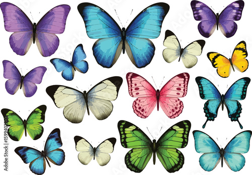 Collection of vibrant and colorful butterflies with spread wings against a neutral background