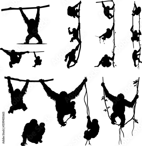 A collection of silhouette illustrations depicting orangutans climbing, hanging, and swinging from branches and vines in various poses.