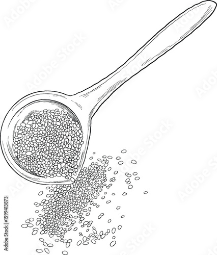 sesame seed in spoon sketch hand drawing