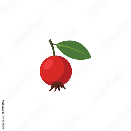Single red rosehip with green leaf isolated on white background