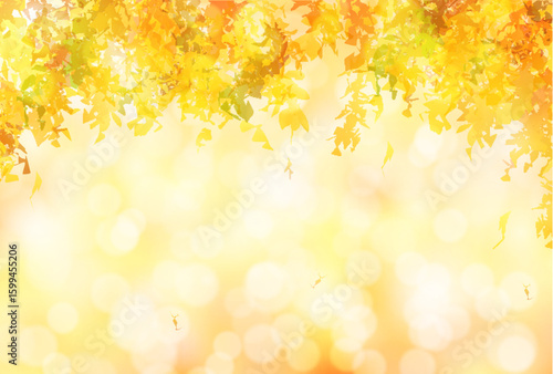 紅葉　秋　葉　背景